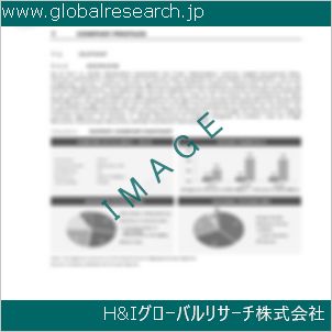 グローバルリサーチ調査資料のイメージ